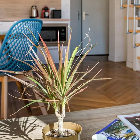 Le Royale Haussman Junior - Louis Pradel *